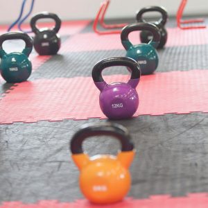 elite-fitness-gym16