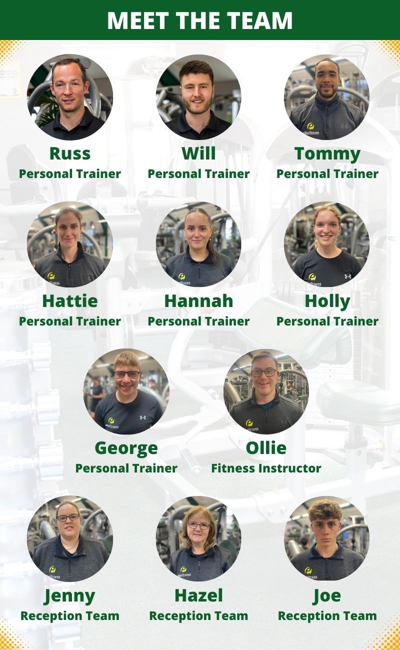 Meet the Team